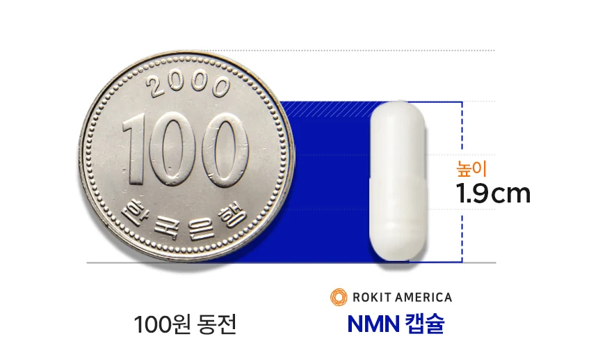 100원 동전과 로킷아메리카 NMN 캡슐 크기 비교, 캡슐 높이 1.9cm